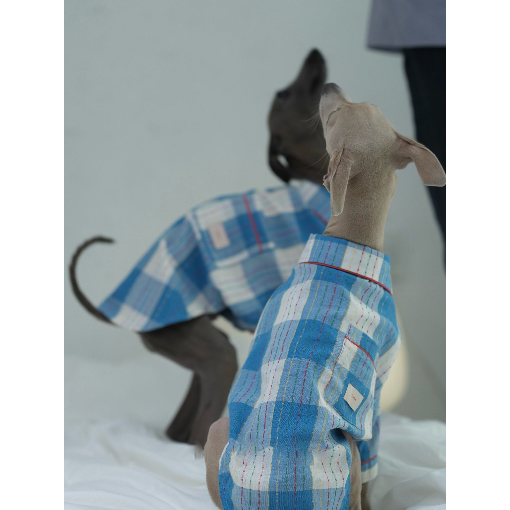Soft Plaid Cotton Dog Pajamas