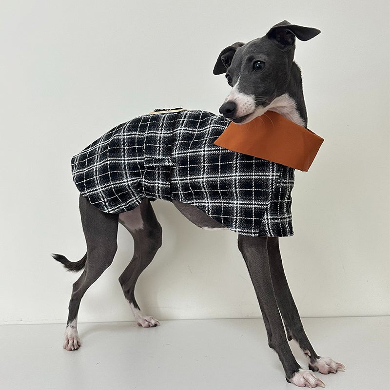 Warm Plaid Wind Coat Italian Greyhound Cloak