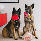 Plush Squeaky Dog Toy Valentine Gift