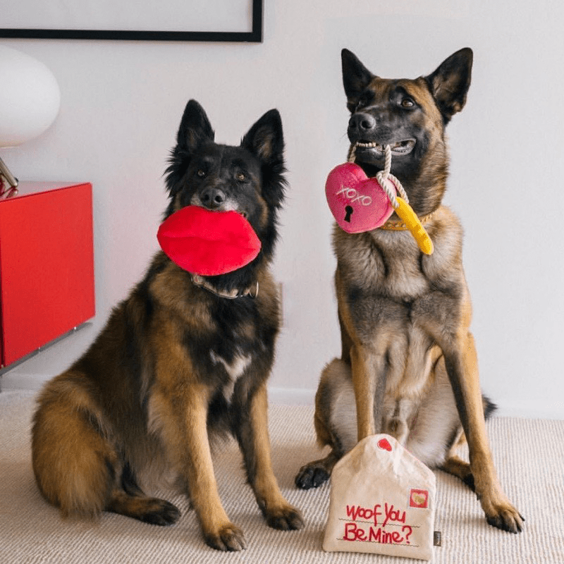 Plush Squeaky Dog Toy Valentine Gift