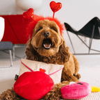 Plush Squeaky Dog Toy Valentine Gift