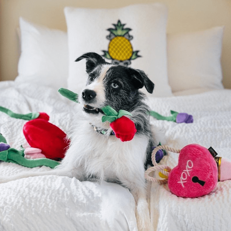 Plush Squeaky Dog Toy Valentine Gift