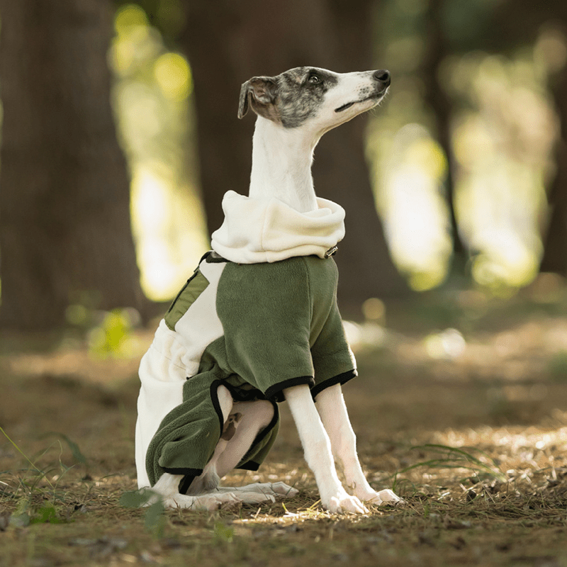 Warm Polar Fleece Greyhound Dog Onesie