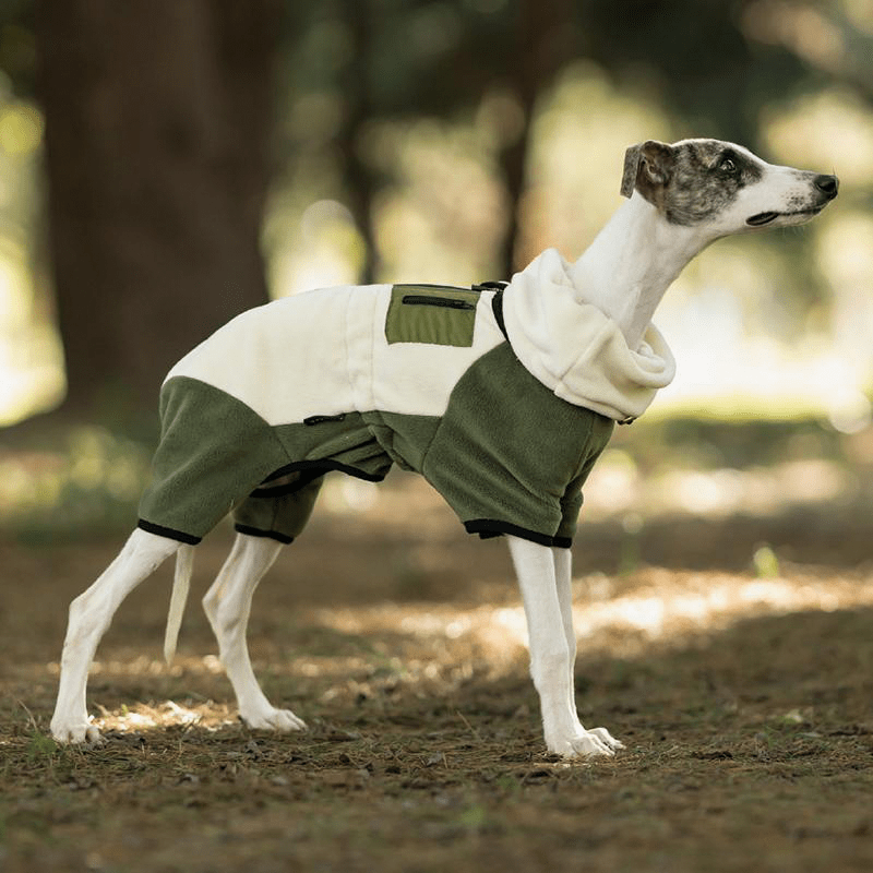 Warm Polar Fleece Greyhound Dog Onesie