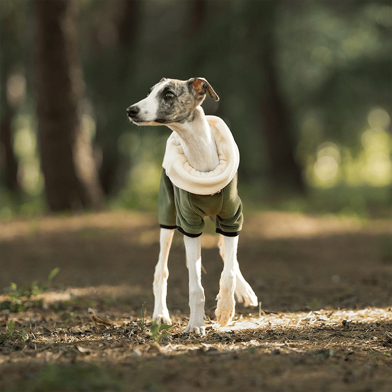 Warm Polar Fleece Greyhound Dog Onesie