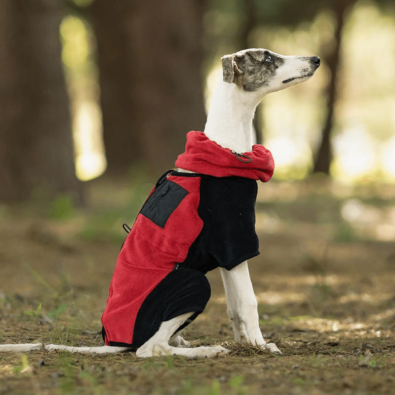 Warm Polar Fleece Greyhound Dog Onesie