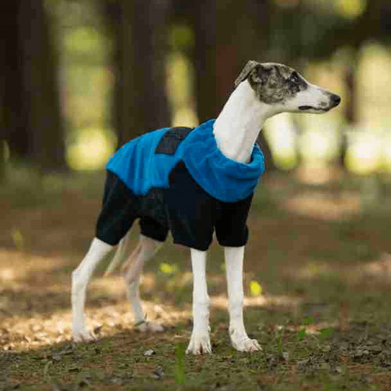 Warm Polar Fleece Greyhound Dog Onesie