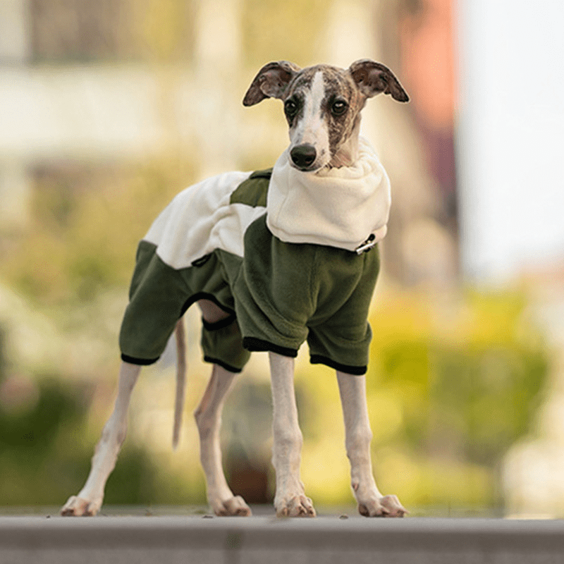 Warm Polar Fleece Greyhound Dog Onesie