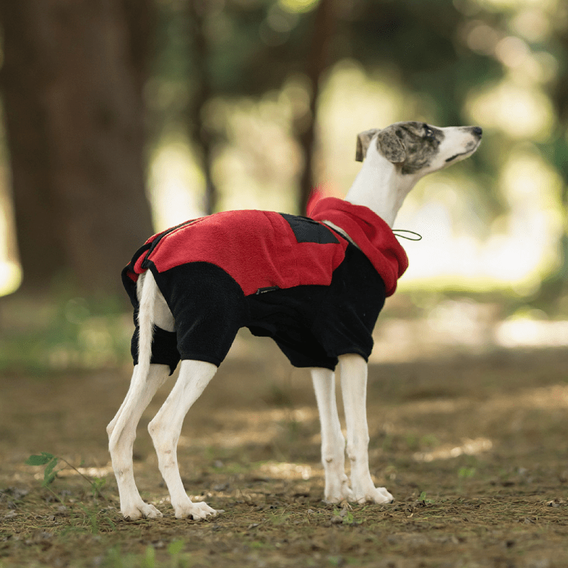 Warm Polar Fleece Greyhound Dog Onesie
