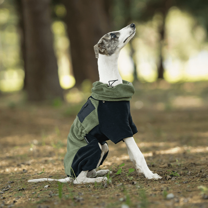 Warm Polar Fleece Greyhound Dog Onesie