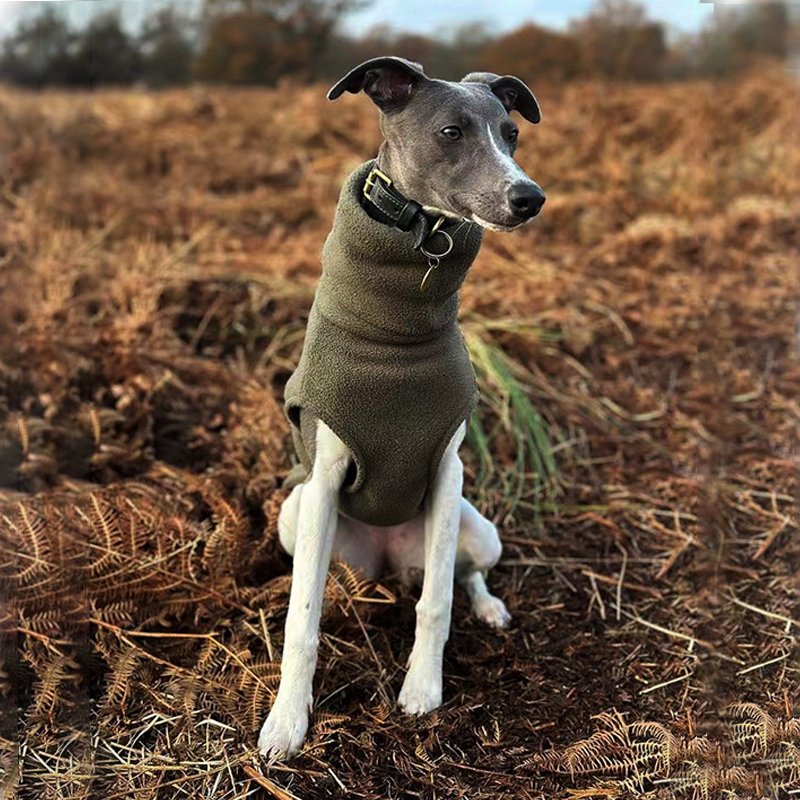 Warm Polar Fleece Italian Greyhound Shirt
