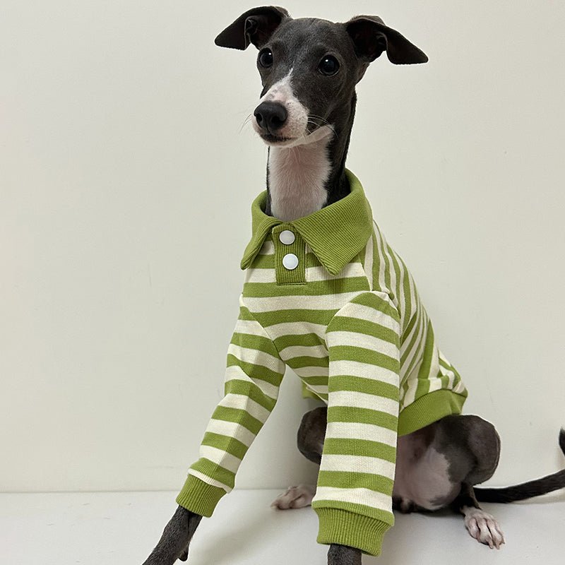 Comfortable Italian Greyhound Polo Shirt