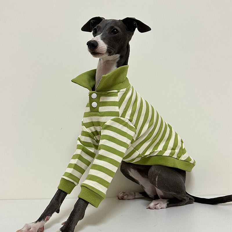 Comfortable Italian Greyhound Polo Shirt