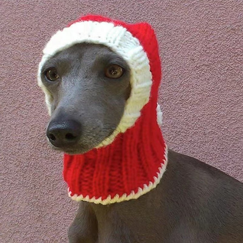 Warm Knitted Dog Pom Hat