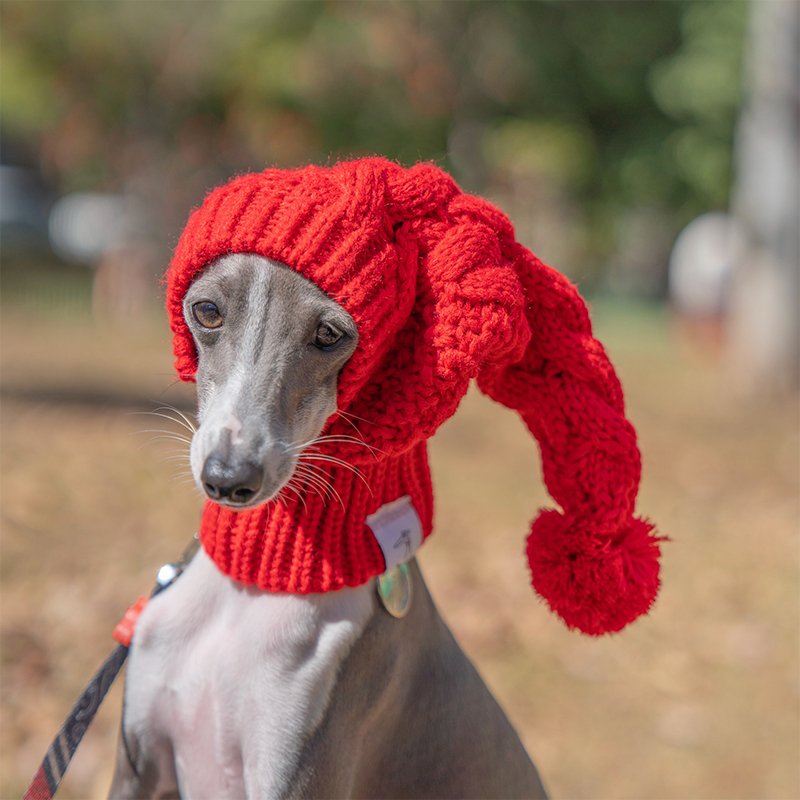 Warm Knitted Dog Cat Hat