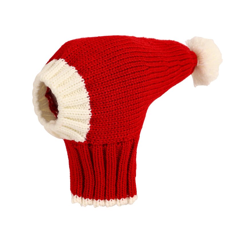 Warm Knitted Dog Pom Hat