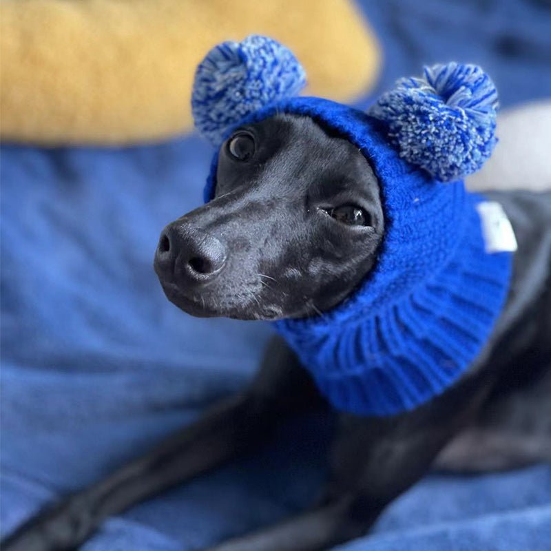 Cozy Knitted Dog Pom Beanie Hat