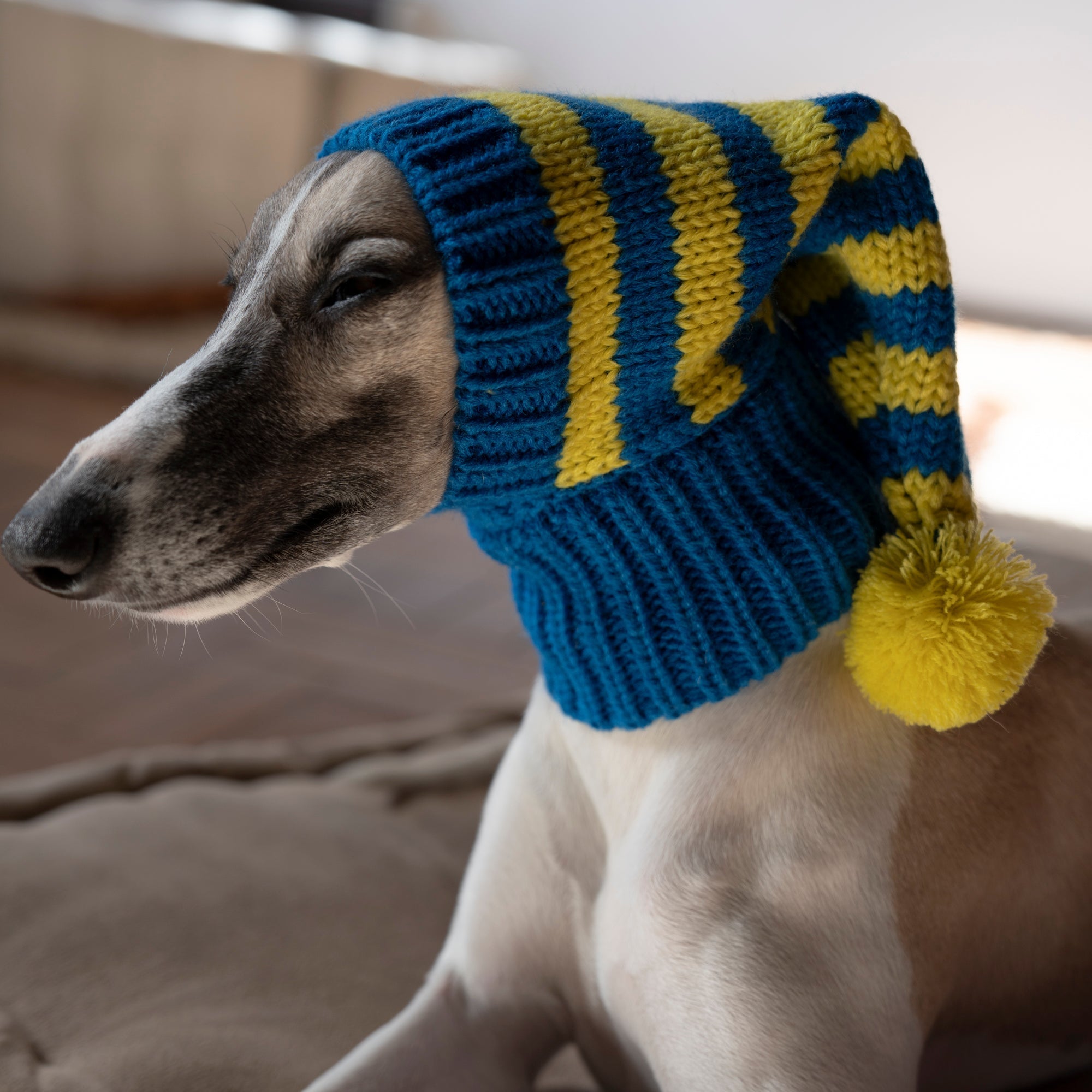Soft Knitted Dog Cat Pom Hat