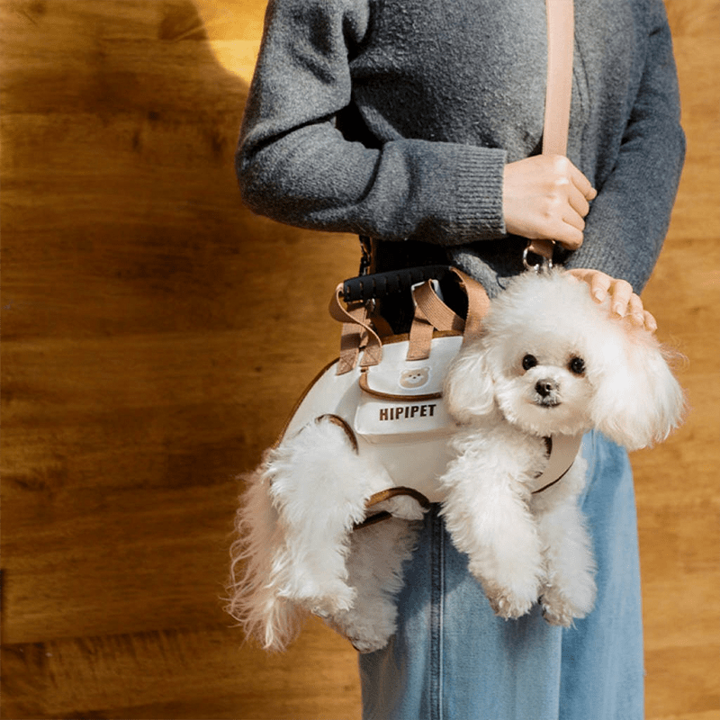 Lightweight Small Dog Travel Bag