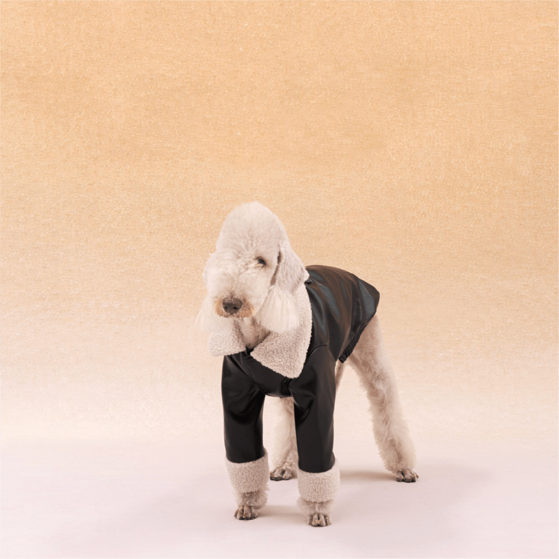 Winter Cozy Dog PU Jacket