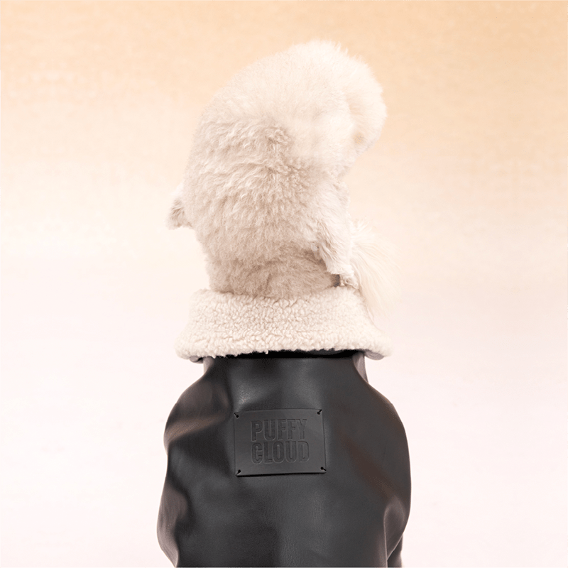 Winter Cozy Dog PU Jacket