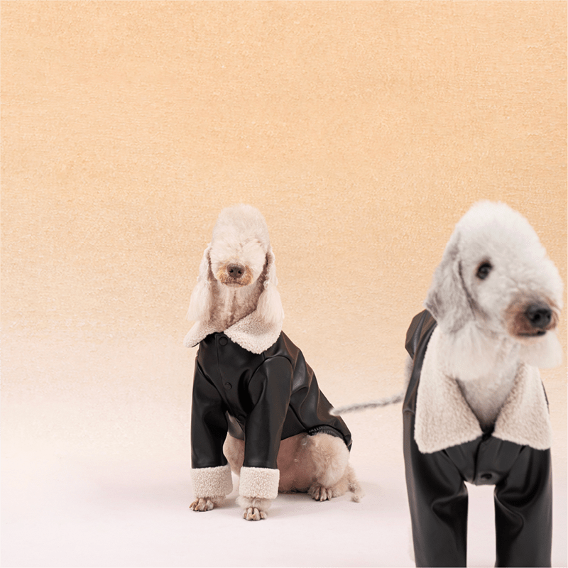 Winter Cozy Dog PU Jacket