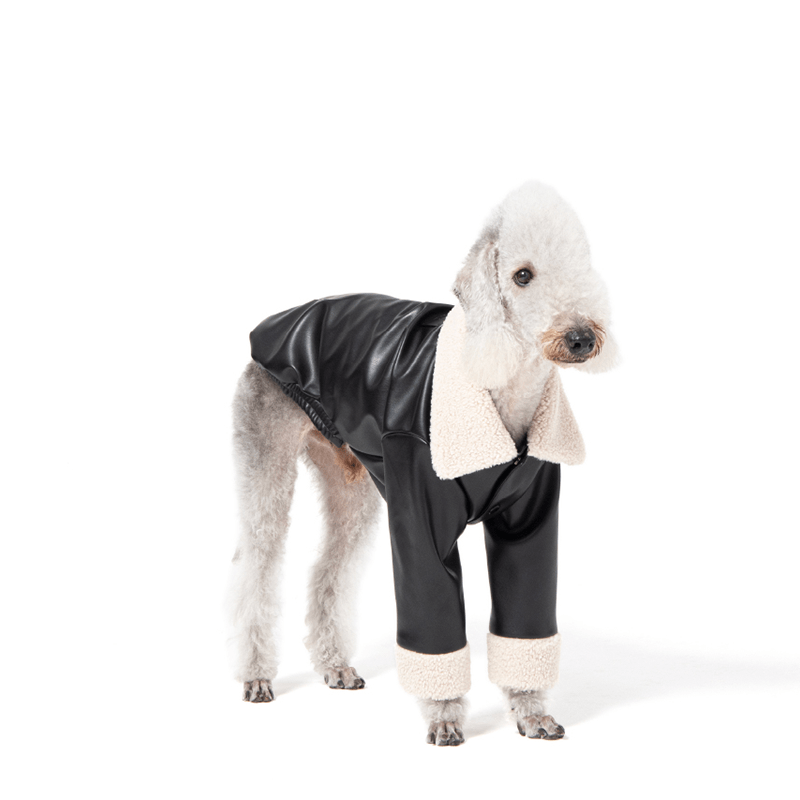 Winter Cozy Dog PU Jacket