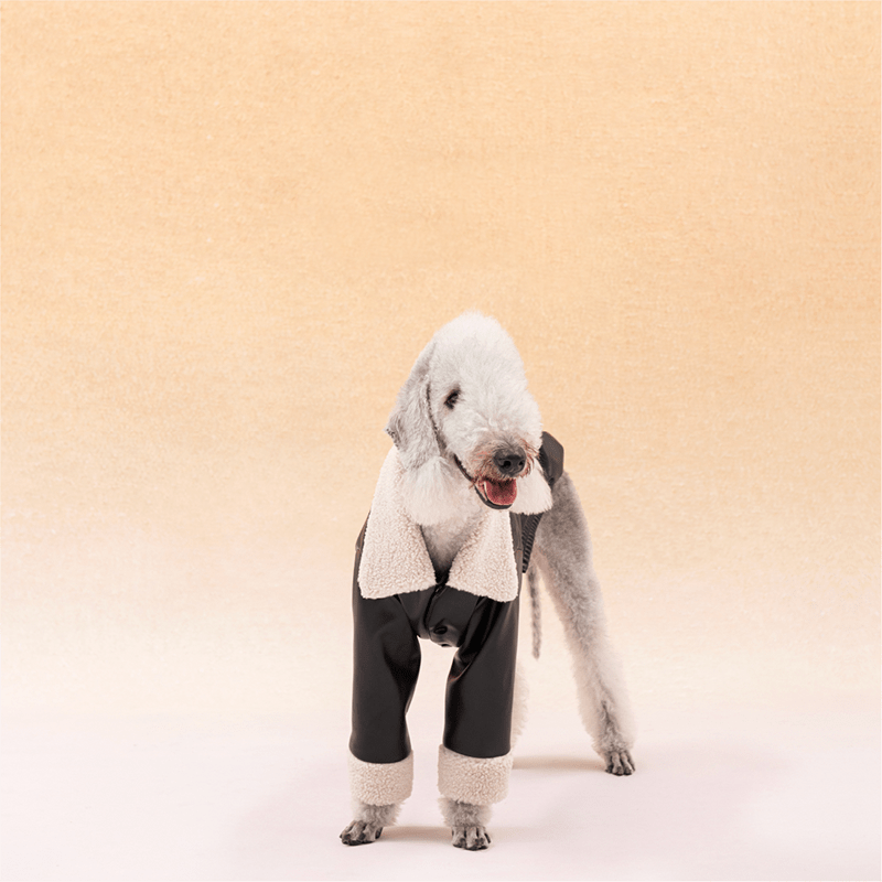 Winter Cozy Dog PU Jacket