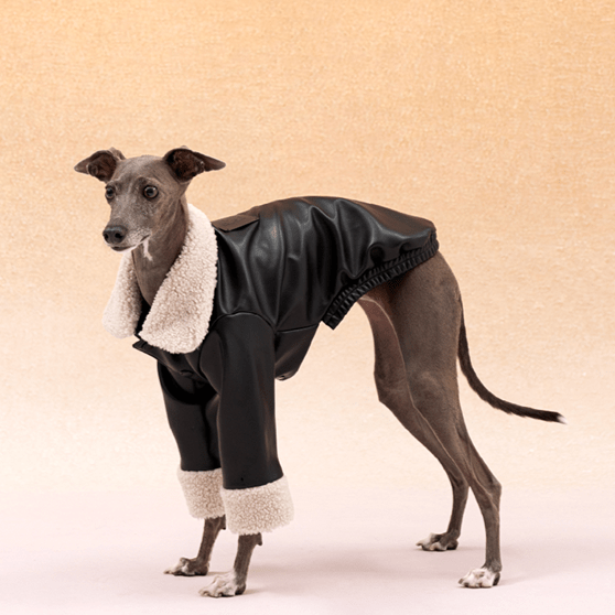 Winter Warm Italian Dog Dog Jacket