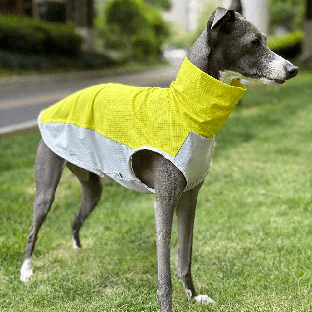Quick Dry Breathable Italian Greyhound Vest
