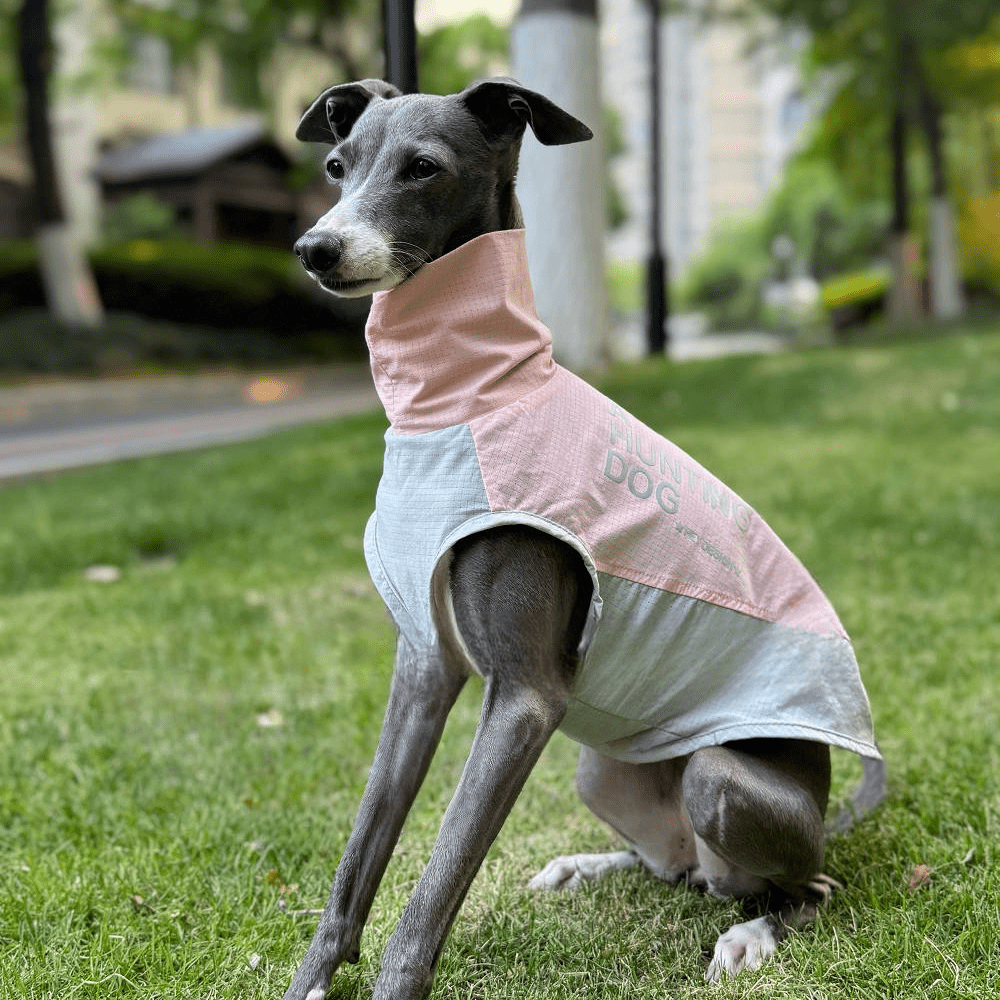 Quick Dry Breathable Italian Greyhound Vest