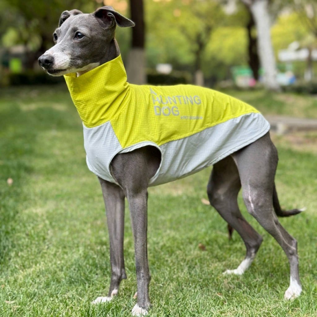 Quick Dry Breathable Italian Greyhound Vest