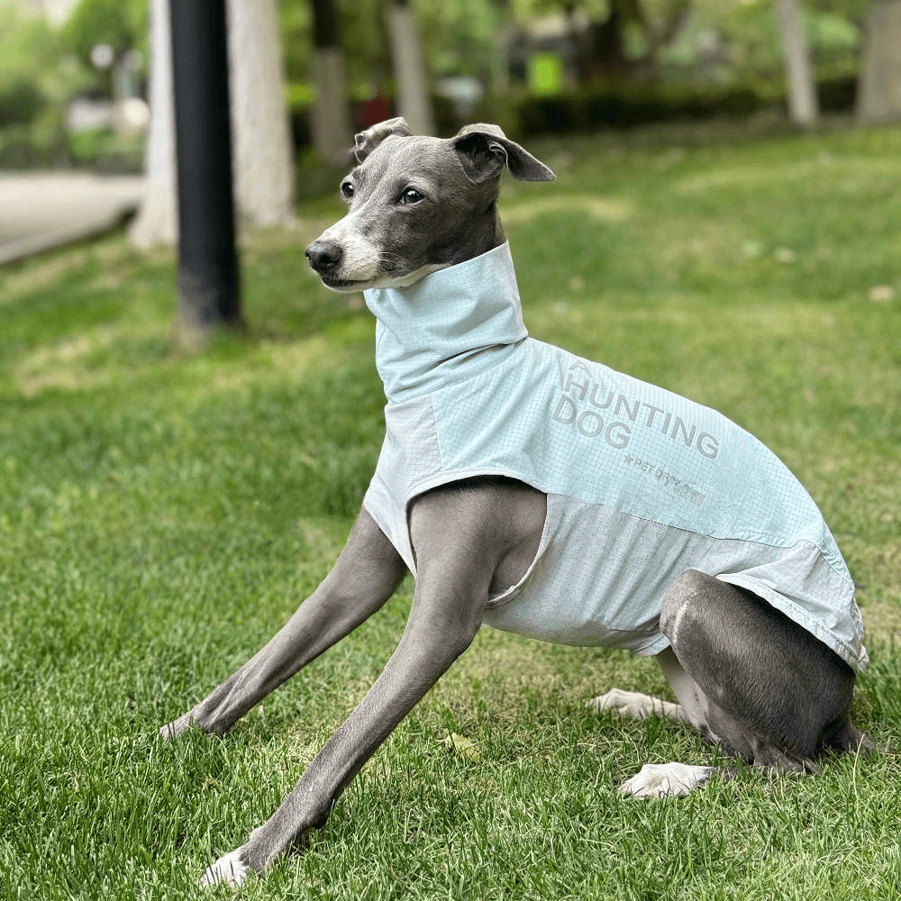 Quick Dry Breathable Italian Greyhound Vest