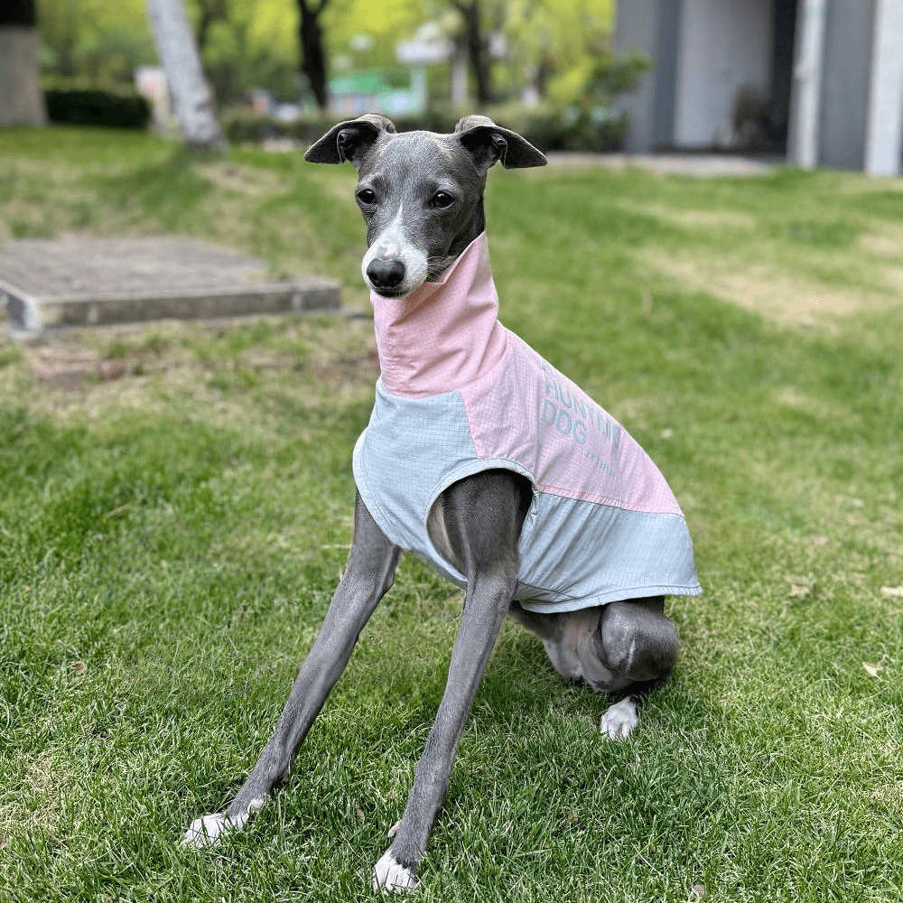 Quick Dry Breathable Italian Greyhound Vest