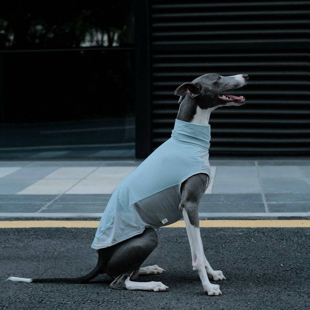 Quick Dry Breathable Italian Greyhound Vest