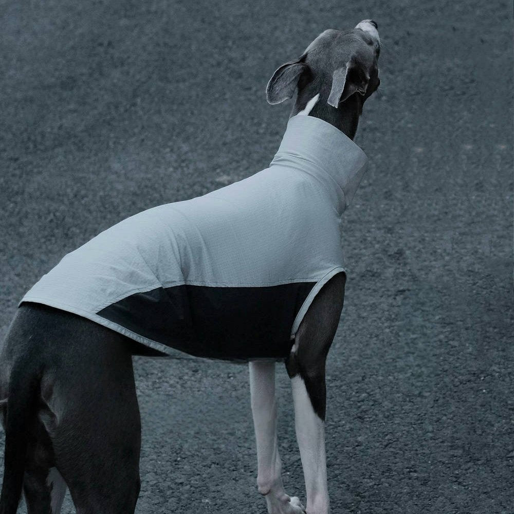 Quick Dry Breathable Italian Greyhound Vest