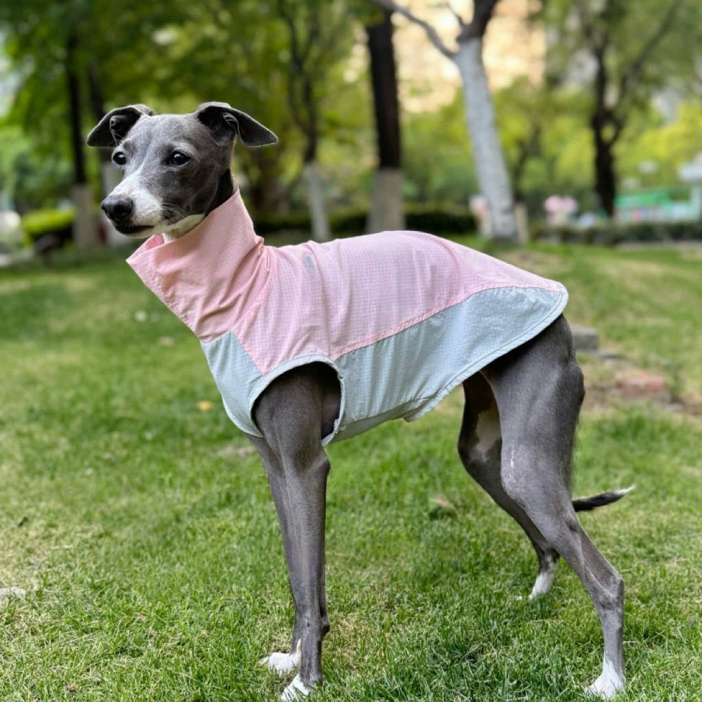 Quick Dry Breathable Italian Greyhound Vest