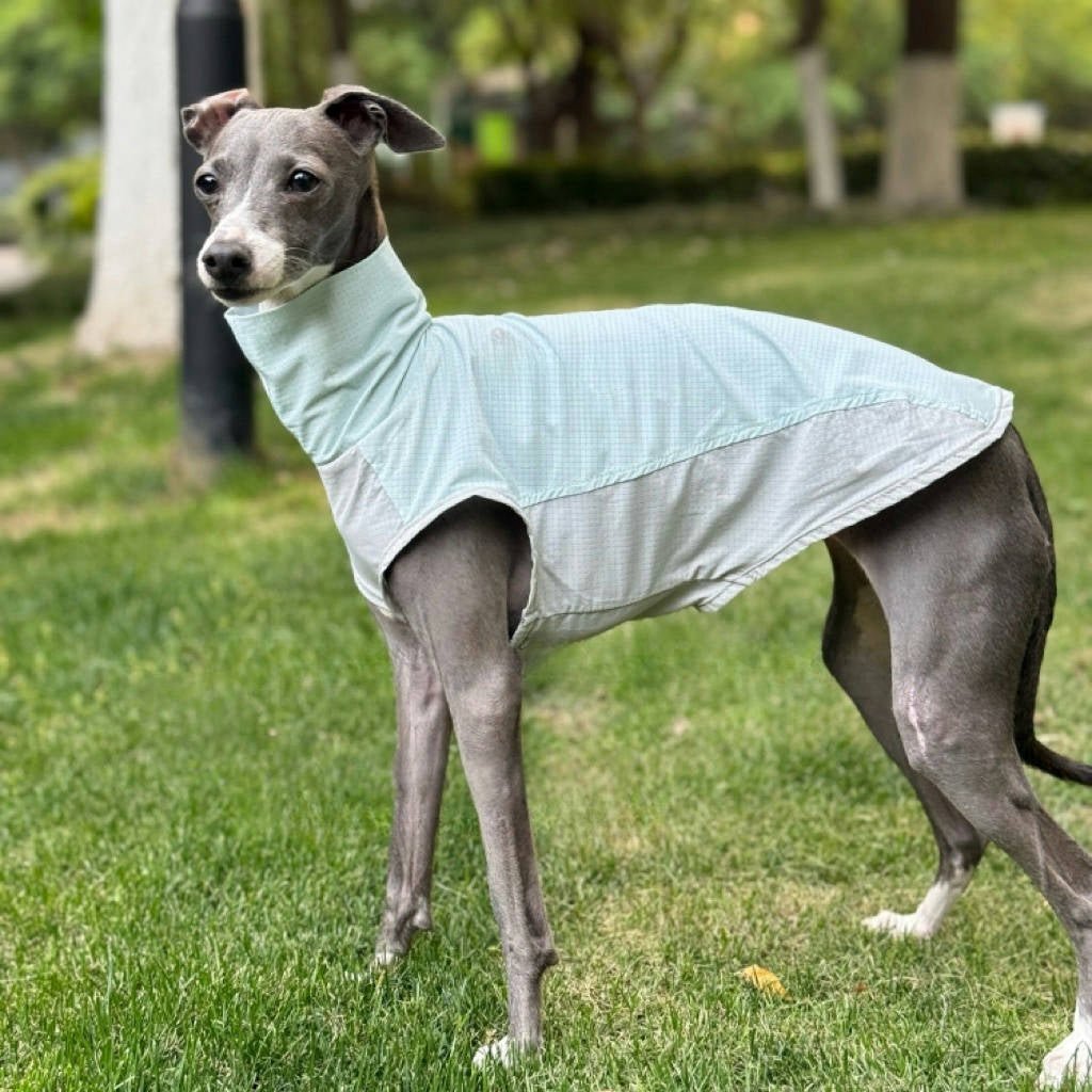 Quick Dry Breathable Italian Greyhound Vest