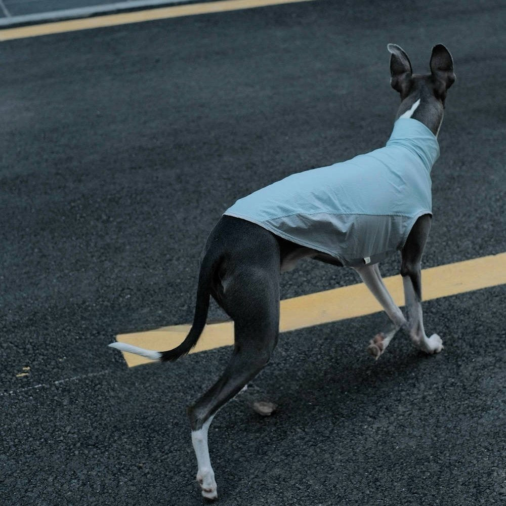 Quick Dry Breathable Italian Greyhound Vest