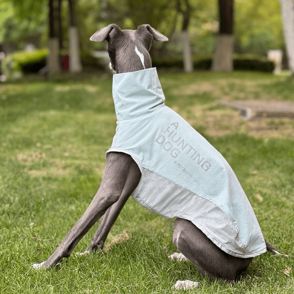 Quick Dry Breathable Italian Greyhound Vest