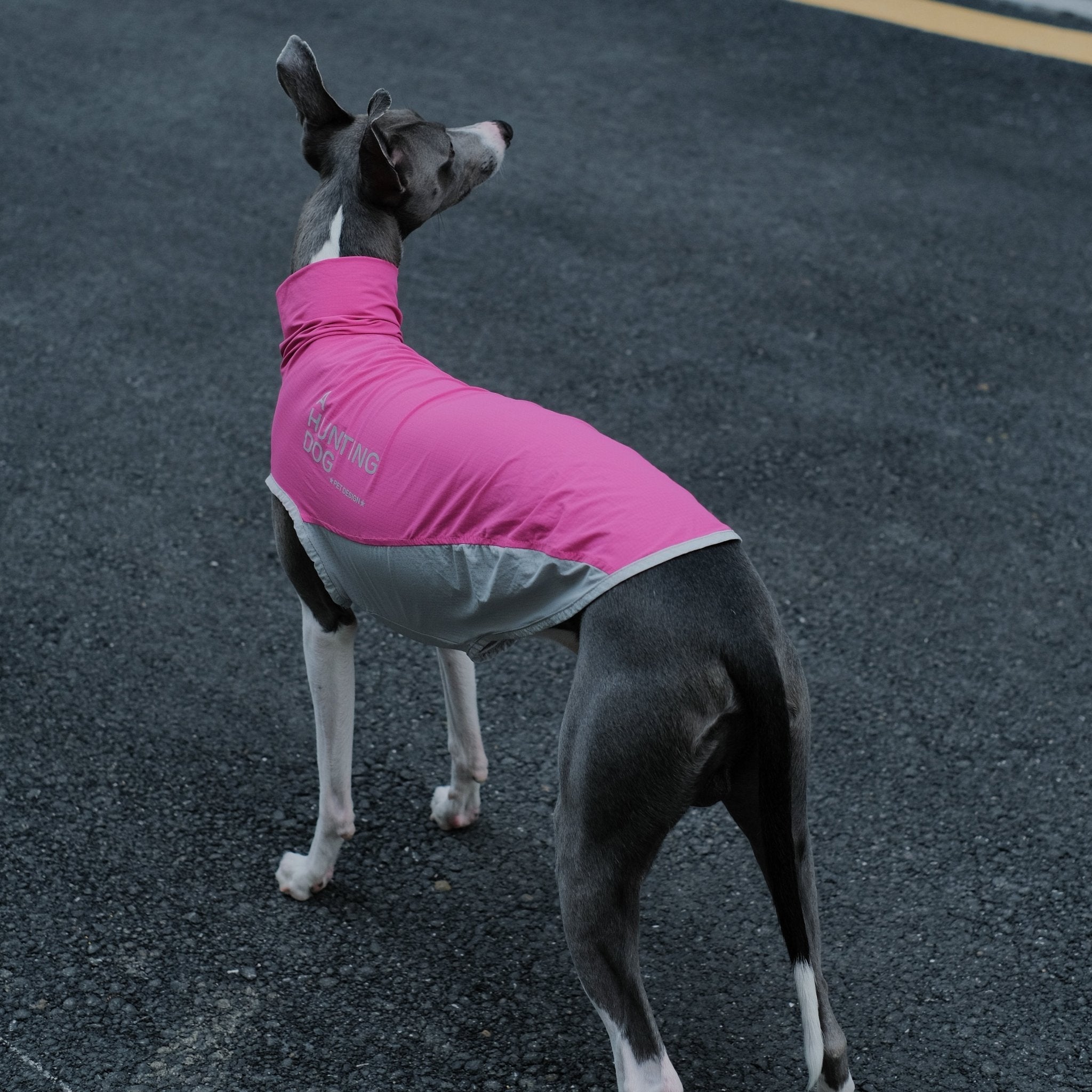 Quick Dry Breathable Italian Greyhound Vest
