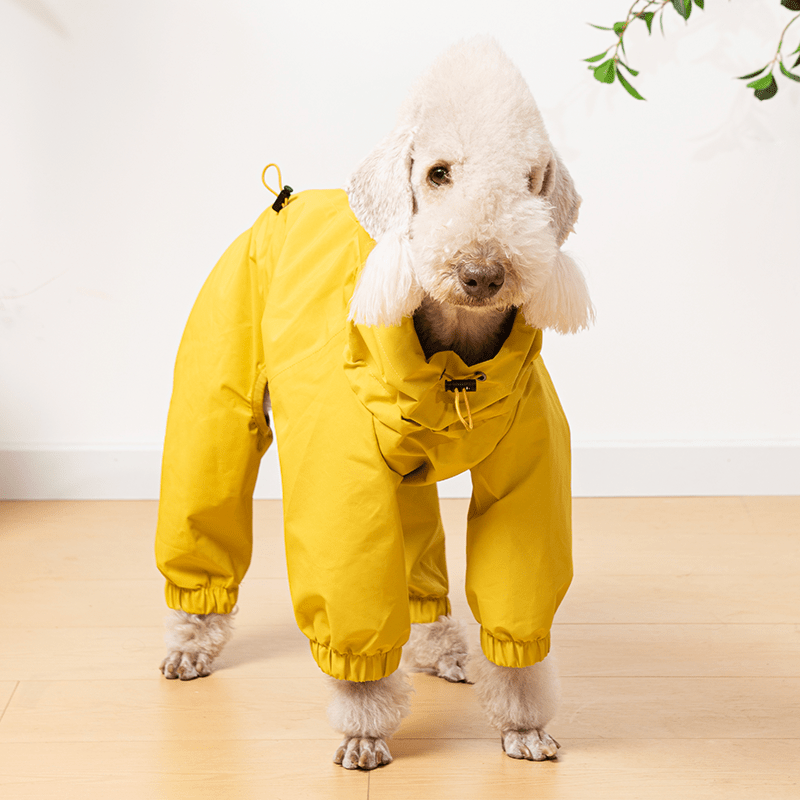 Waterproof Italian Dog Dog Jacket