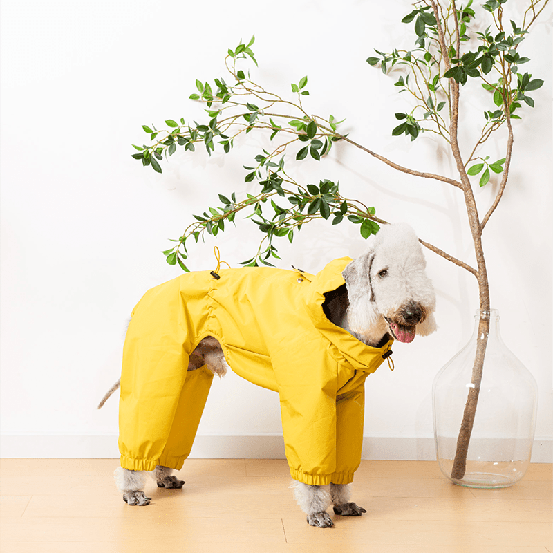 Waterproof Italian Dog Dog Jacket