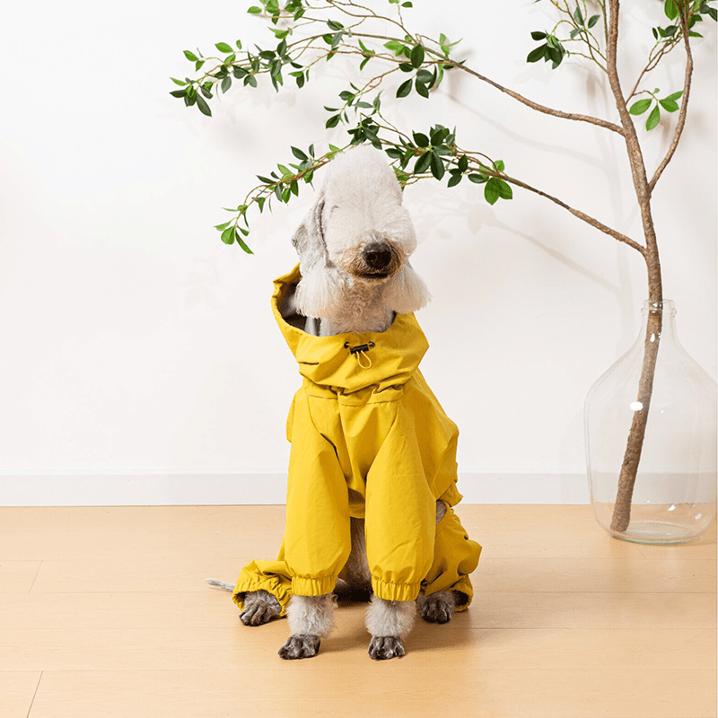 Waterproof Italian Dog Dog Jacket