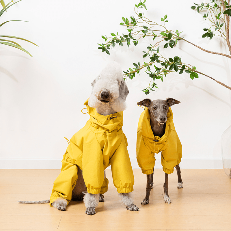 Waterproof Italian Dog Dog Jacket