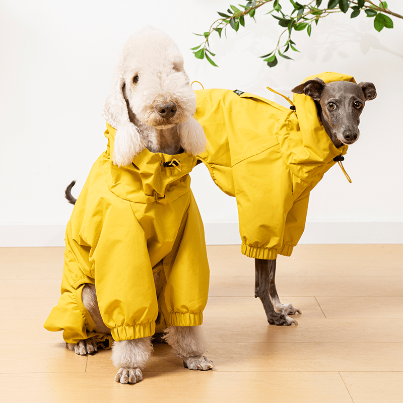 Waterproof Italian Dog Dog Jacket