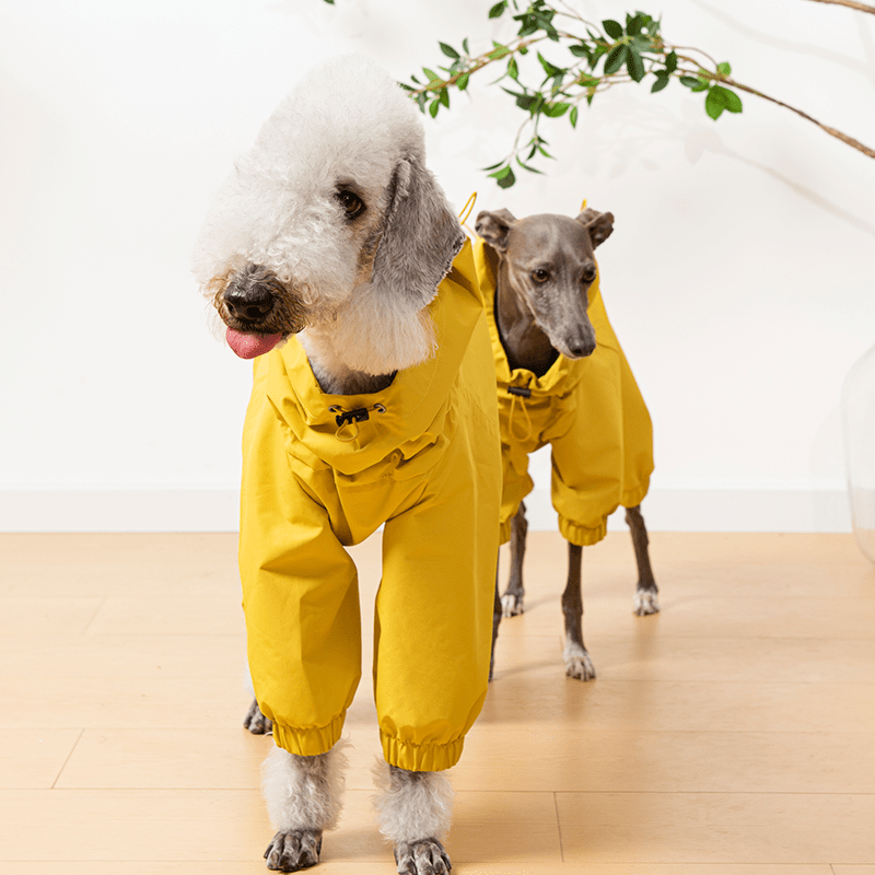 Waterproof Italian Greyhound Dog Jacket