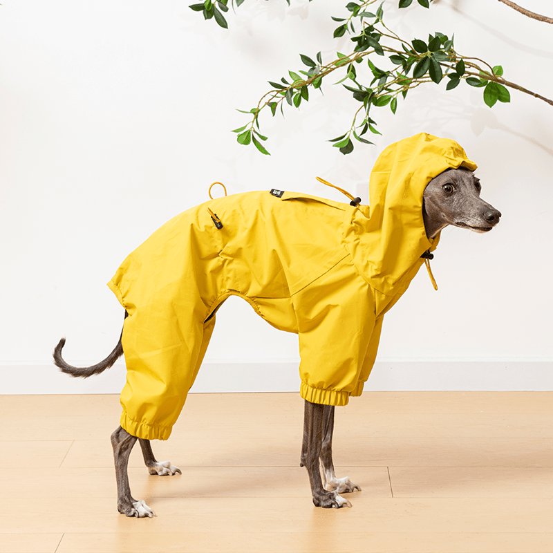 Waterproof Italian Greyhound Dog Jacket