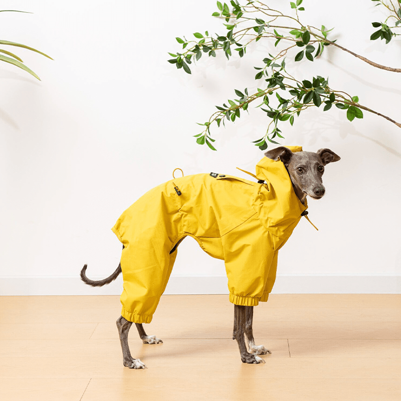 Waterproof Italian Greyhound Dog Jacket