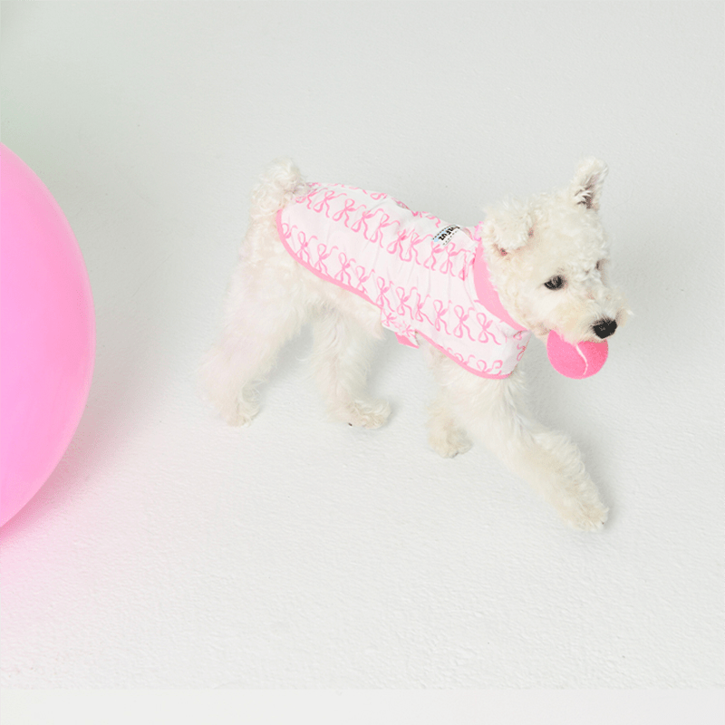 Reversible Cape Jacket Small Dog Coat